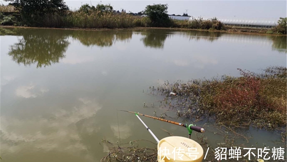 冬季钓鱼,不要一到水边就下竿,牢记4个法则,天再冷都能爆护