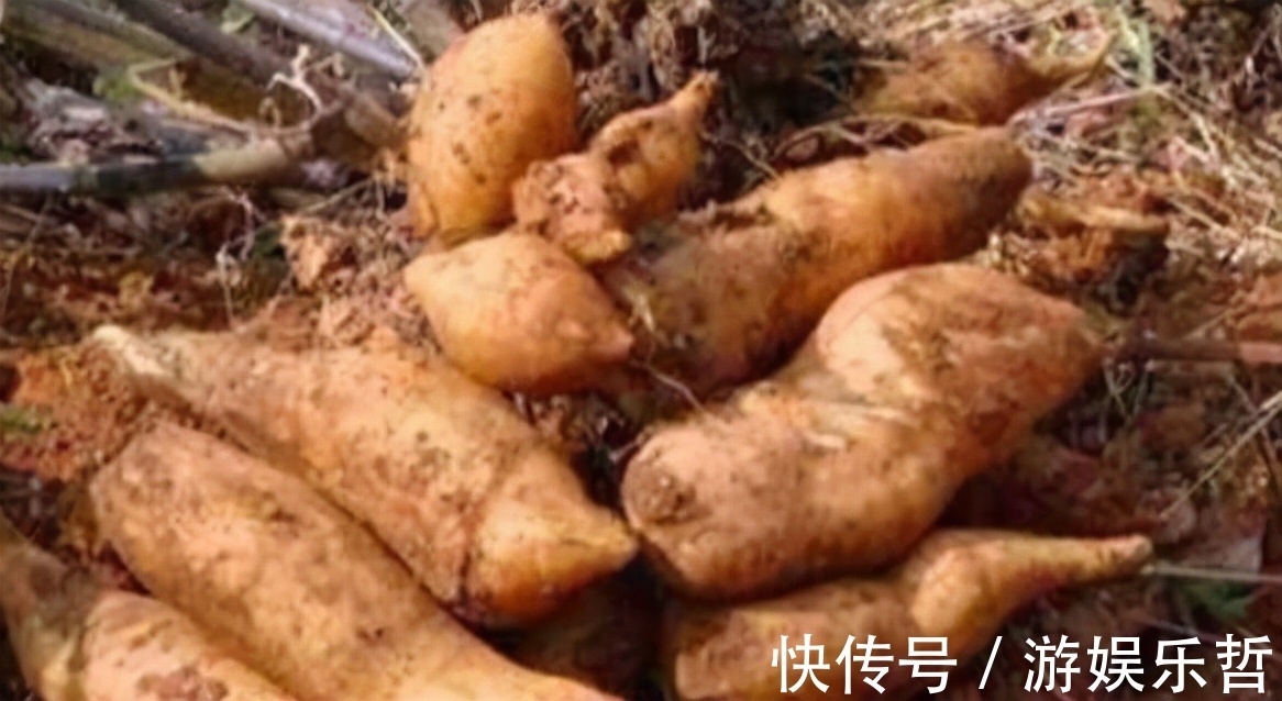 红菜苔|冬季来了,常吃三种食物,营养丰富,还能抗衰老,早知早好