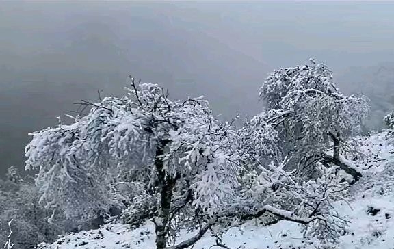 春夏秋冬|蔚县茶山的第一场秋雪