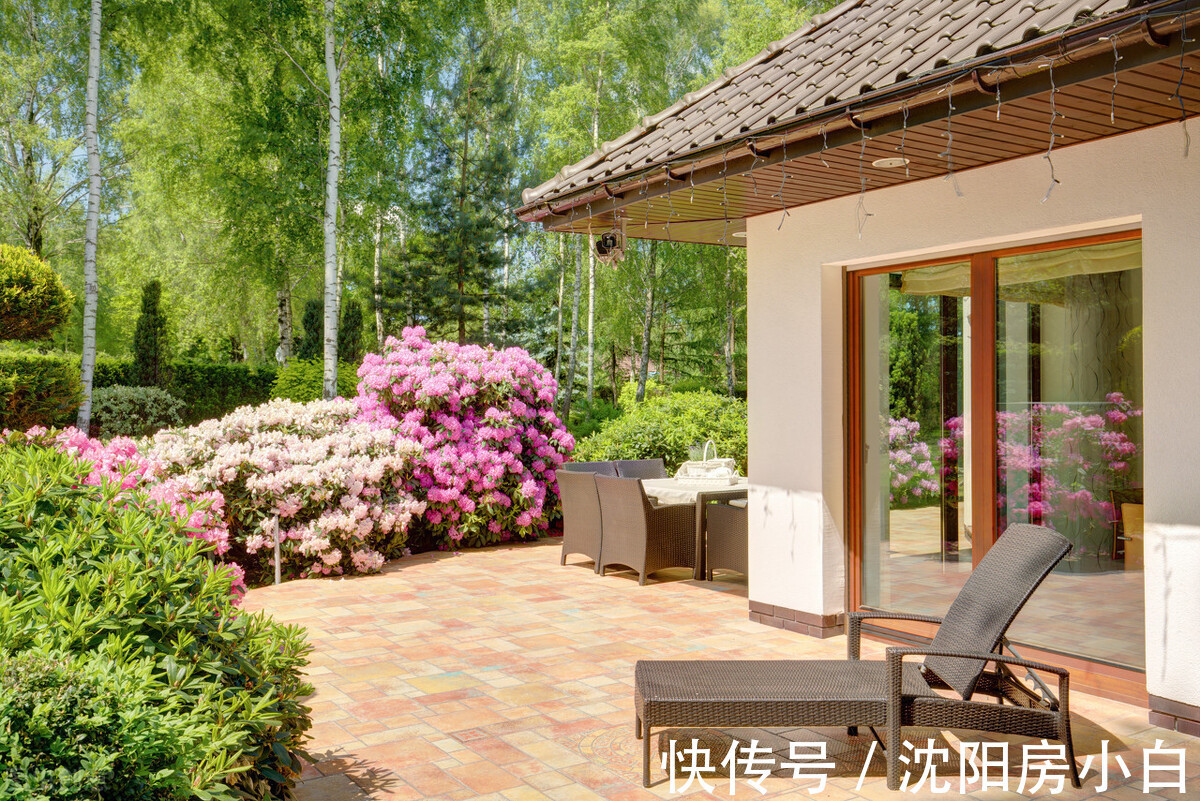 绿植|为了这个庭院设计，我才买的一楼带花园