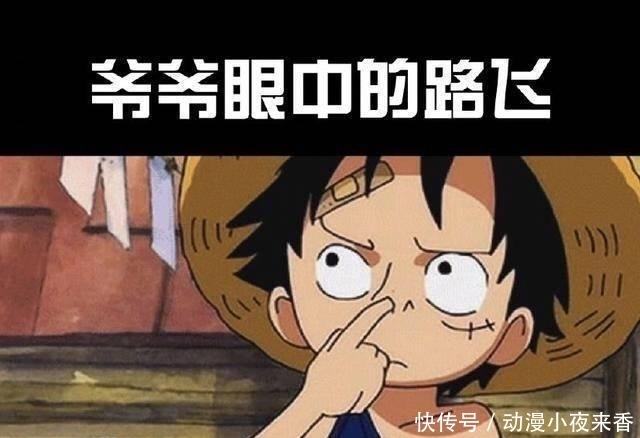 美颜|海贼王：不同人眼里的路飞，迷弟和女帝眼里的路飞自带“美颜”