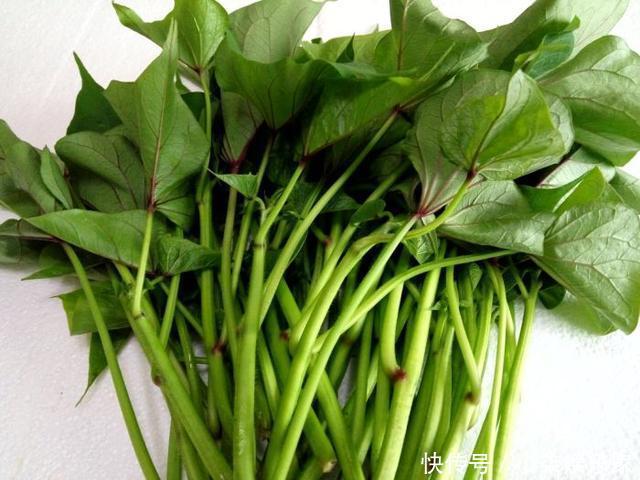 采摘|3种吃剩的“菜杆子”,丢土里,长成一片“绿萝”,3天采摘一大盆