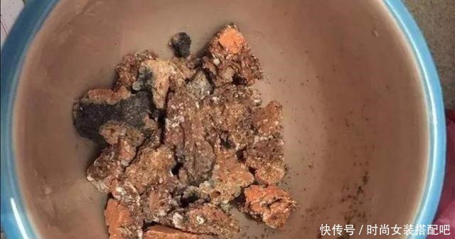 家庭养花,浇水太多容易烂根黄叶,只因花盆里少放这东西!