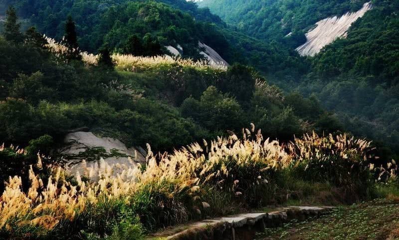 禅理|王安石一首充满禅理的诗，写得很深刻，读懂了也就明白了许多道理