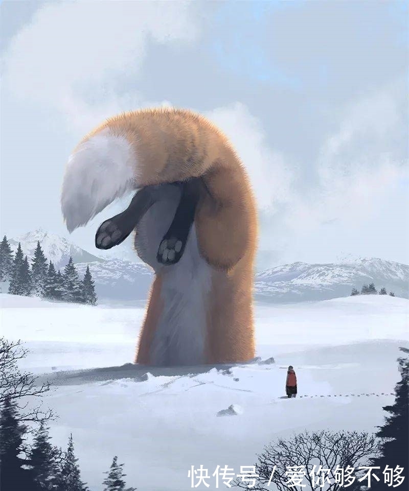 插画|三组各具特色的动物插画,看完很治愈~