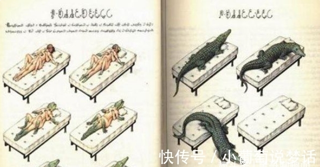 文字|世界上最神奇的书,自出版几百年来,至今无人能懂