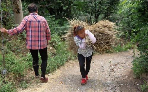 家庭|夫妻俩15年生11个孩子,指望一个孩子有出息,如今却被现实打脸