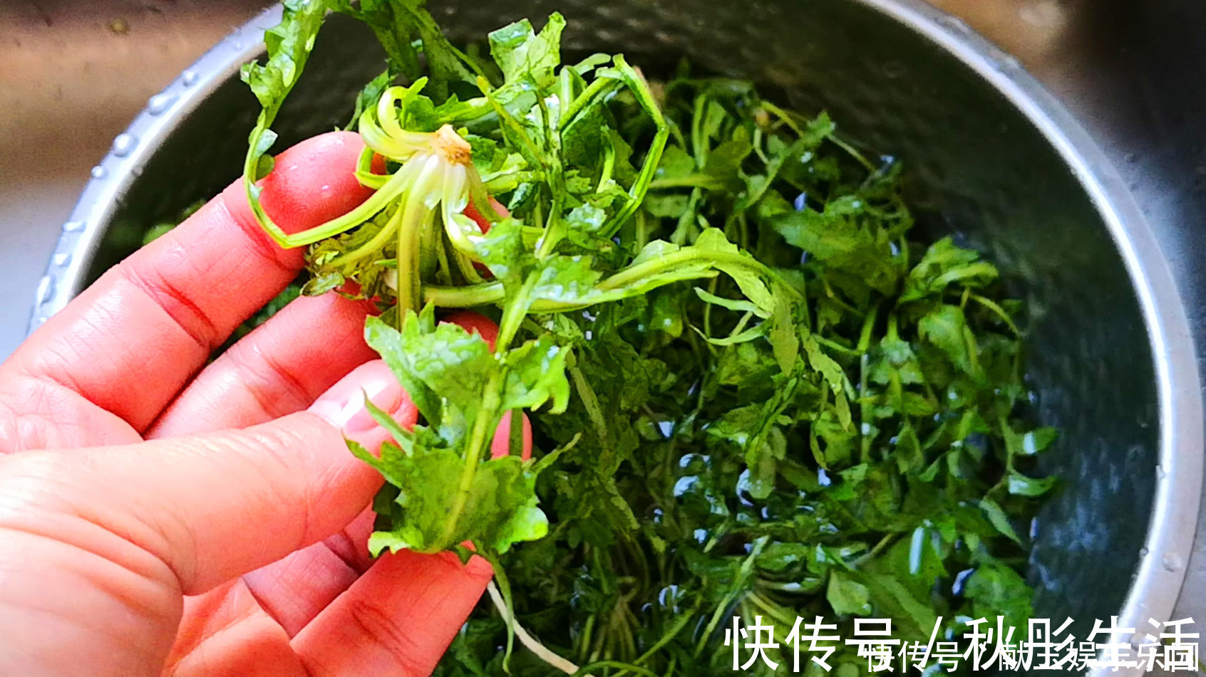 天冷吃饺子,就馋此馅,比韭菜和白菜都鲜,3块钱包一锅,太香了