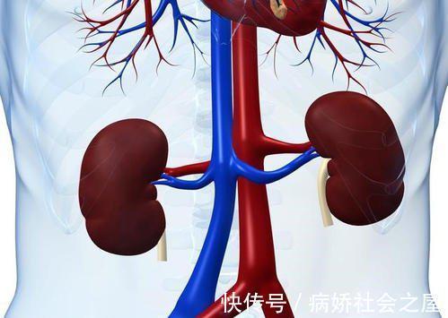 亚硝酸盐|肝病来时无声无息?身体出现3大异常,或是肝已“不堪重负”