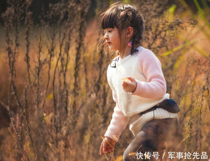 王岳伦|爸爸去哪儿天团近况悬殊:郭涛被骂,张亮''失业'',田亮人生赢家