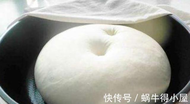 原料|发面时只要多放2种原料,发面快速,10分钟发满盆,看完分享家