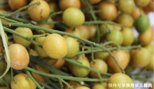 黄皮果|它比梨还润肺,是食药同源的“健康果”,止咳效果好,早知早受益