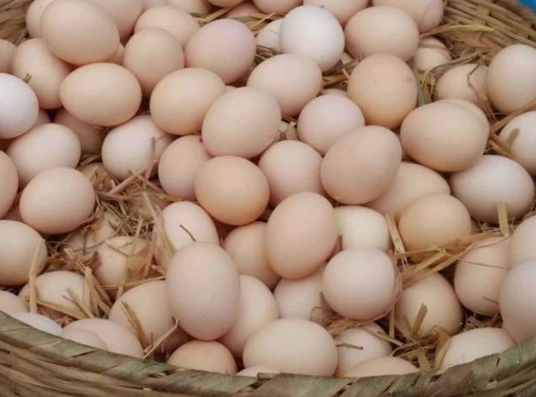 大脑|大脑最爱的食物，居然不是核桃！补脑第一名是它！完全没想到