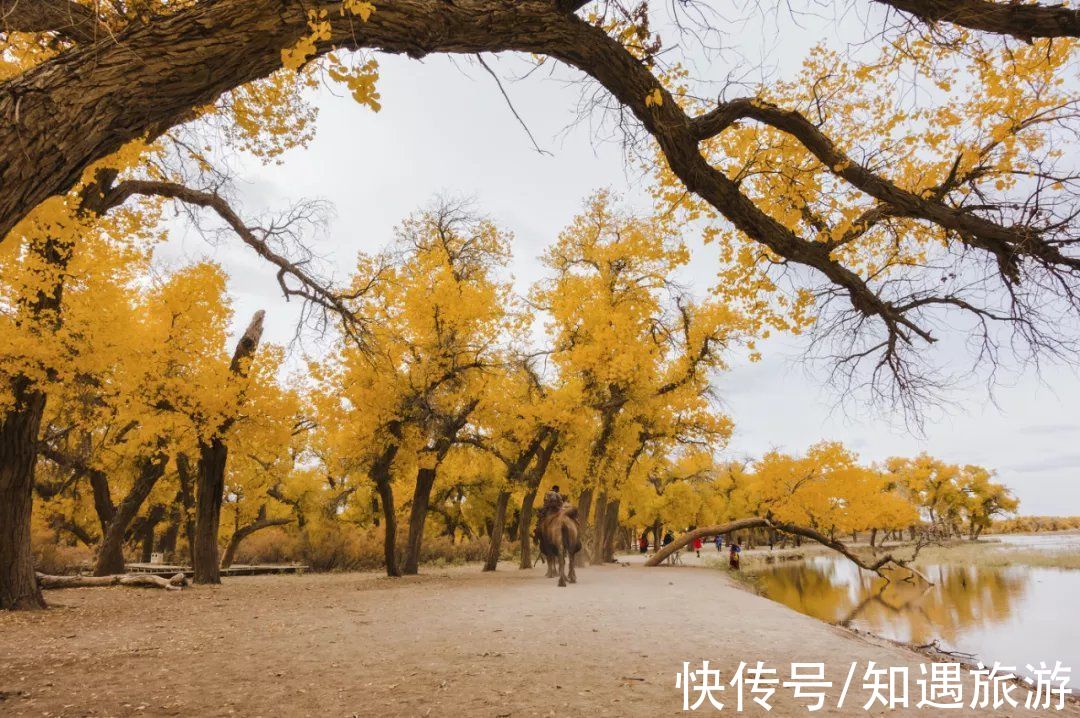 自驾|最值得一去的6处秋景，太美了！短暂的秋季美好，千万别错过