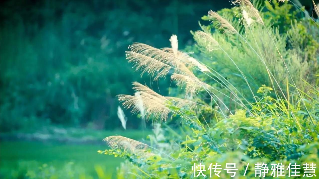 中国文学史@陶渊明五十岁写的一首诗，最后四句堪称经典，表达对生命的领悟