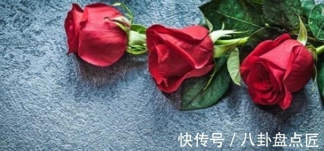 绿茶|山楂和它是绝配,刮油去脂,轻轻松松抚平你的大肚子!