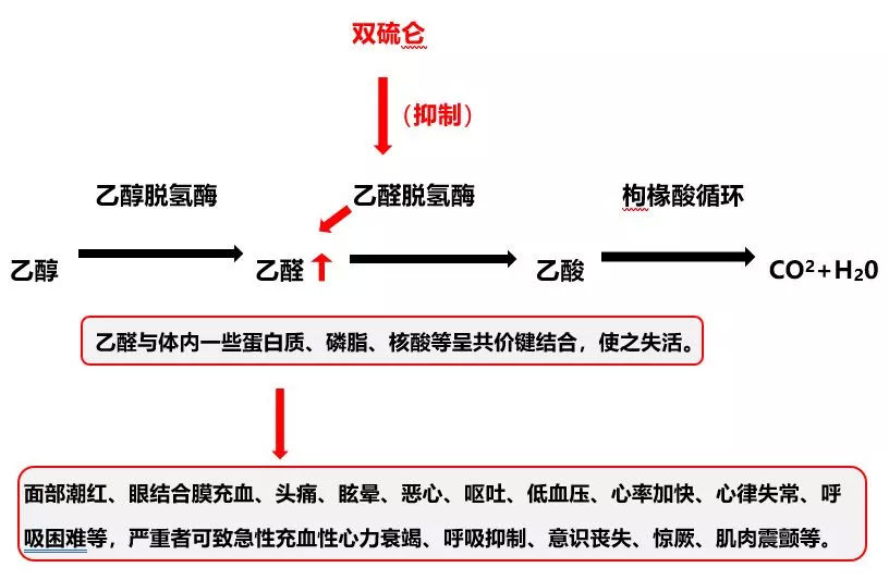 头孢类|后怕！桐乡老伯吃药后喝酒，结果……