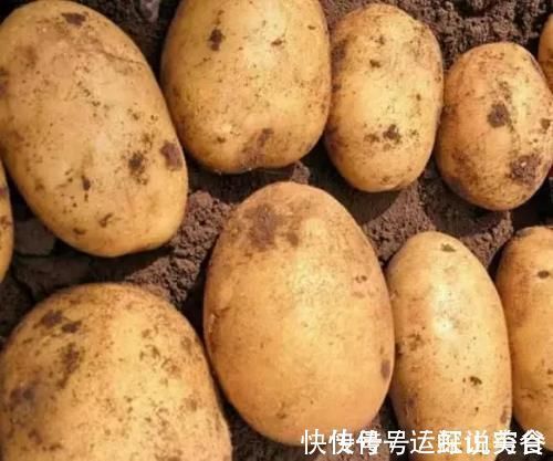 高血脂|世卫组织:3种蔬菜,已被拉入“升脂”名单,在生活中尽量少吃