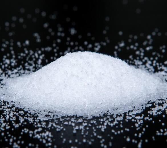 盐商|末代盐商的传奇长女,能与子孙谈古论今,会玩手机微博,享年96岁