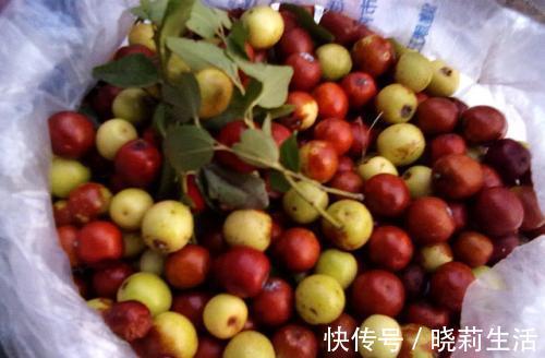 升糖指數|糖尿病人不能吃水果錯，慢性病患者吃水果，吃對了有益身體恢復