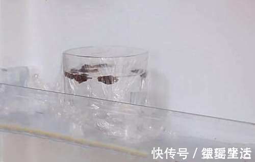 保鲜膜|八角放进白醋里真实用,能给家里省下不少钱,简单实用,快试试