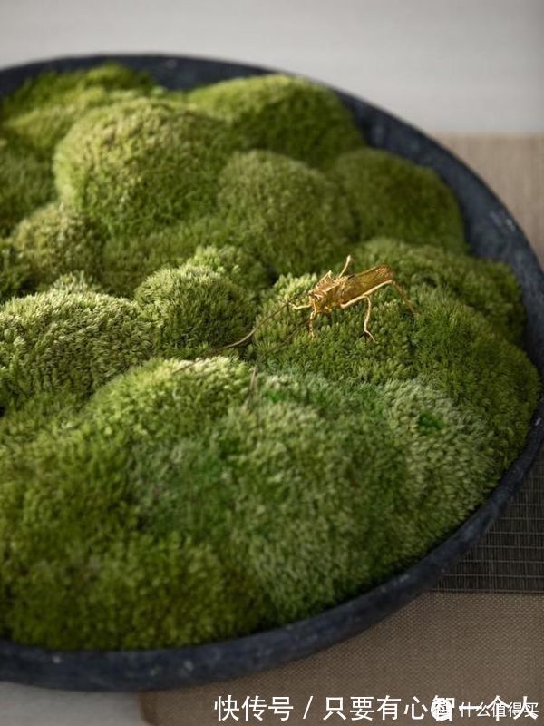 屋主|90后夫妻的215㎡新家,干干净净轻奢风,住起来真叫一个高级!