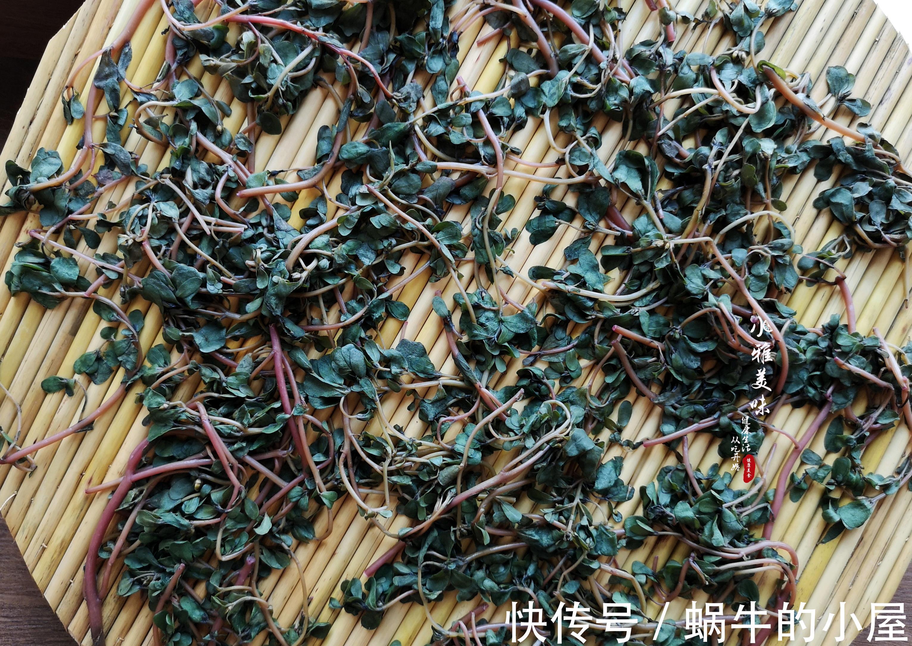 剁辣椒|在欧洲偶遇中国野菜，兴奋之余，当晚演绎了一场经典的中国凉拌菜