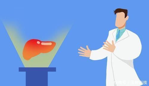 肝功能强的人,早晨身体往往会出现好现象,若全占,恭喜肝很不错