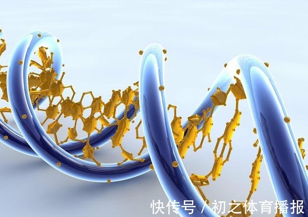 y染色体|胎儿性别是受精那一刻就决定了，还是后来才决定的？