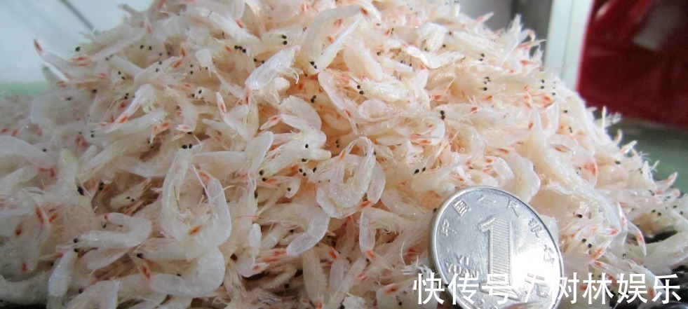 虾皮|买虾皮,白色好还是黄色好?和老渔民学4招,虾皮质量好,耐保存