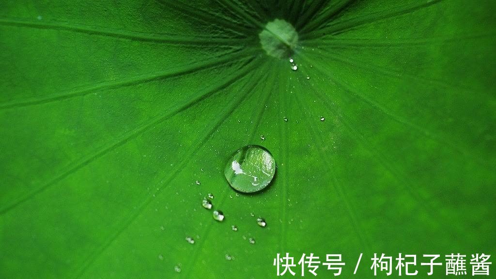 农夫与蛇|做人要厚道,但是对待三种人要刻薄,不能心软