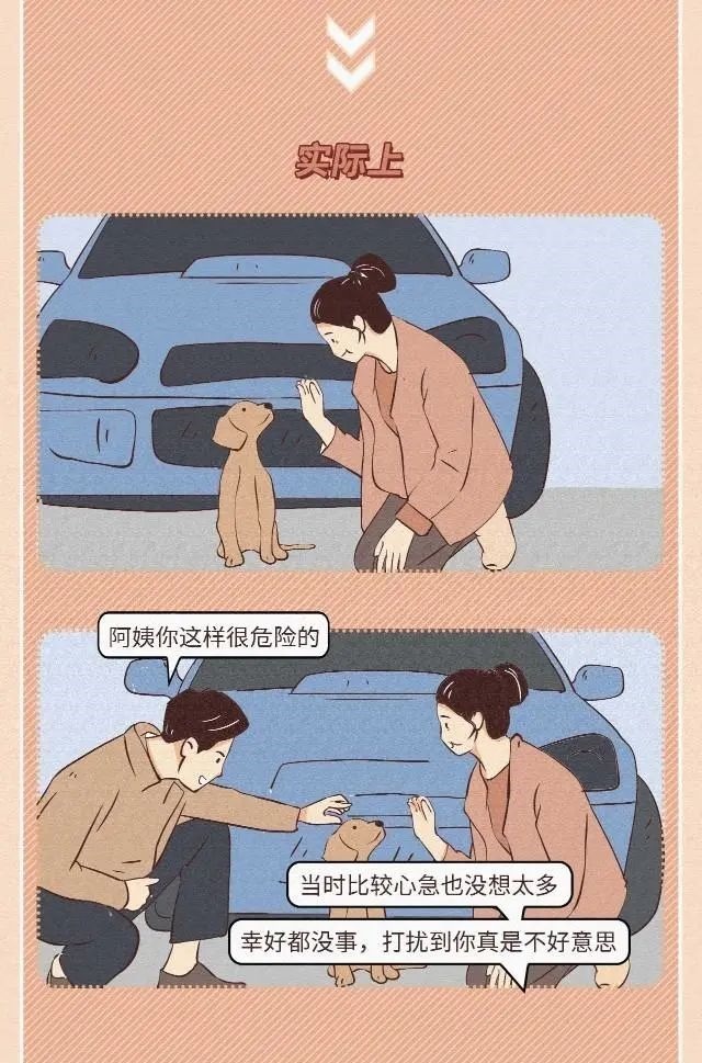 区别|猎奇漫画：表面上看到的和实际上的还是有区别的！