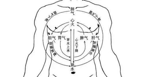 山楂|调养脾胃，90%的人都陷入了这3大“误区”！