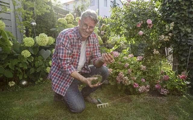 生活质量|德国人寿命比世界人均寿命高出近10岁,只因他们有这7个好习惯