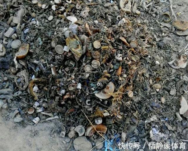 开春别换盆了,这7种东西撒土里,花吃了新叶子呼呼冒!