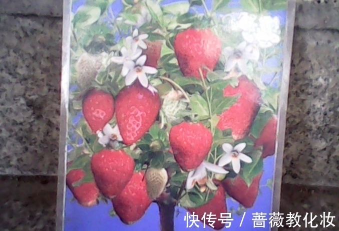 6种花草根本不值得花钱,老花匠良心总结,被骂也要公布