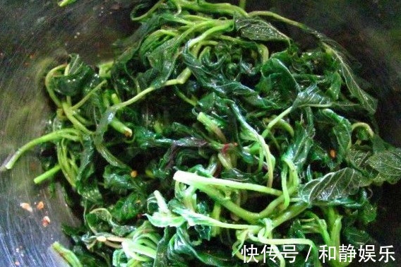 苋菜|天热，这3种野菜要多吃，比买的营养高，清肠消暑还补钙！