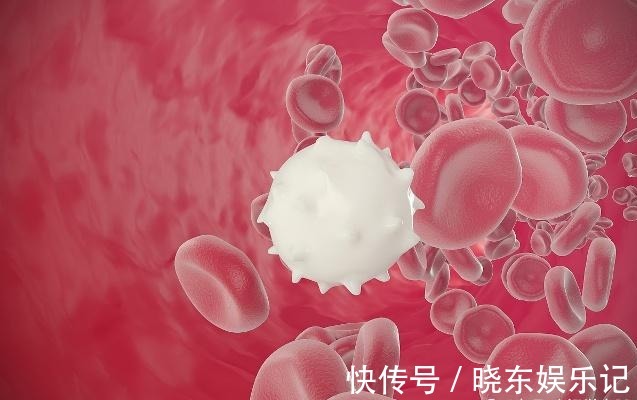 食物|“患癌”人数不断增加,3种食物“别贪吃”,多数人或许控制不住