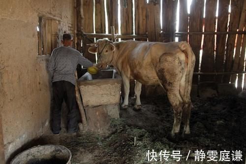 价值|一味产于农村很稀有的中药,可遇不可求,价值堪比黄金