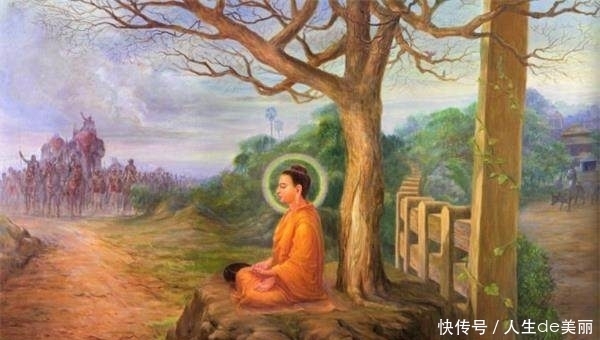 佛不杀生,草木算不算生命?在不在戒律之中?