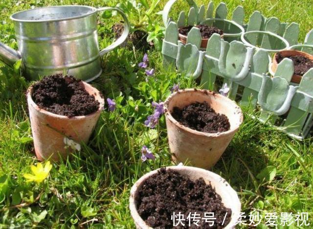 营养土|养花营养土不用买,4种材料搭配起来,松软又肥沃,养啥花都旺