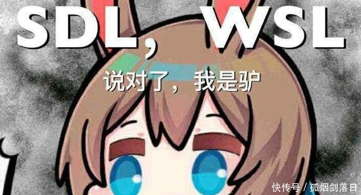 骡子|明日方舟天天被迫害,阿米驴终于崩了,这样的骡子你还爱吗