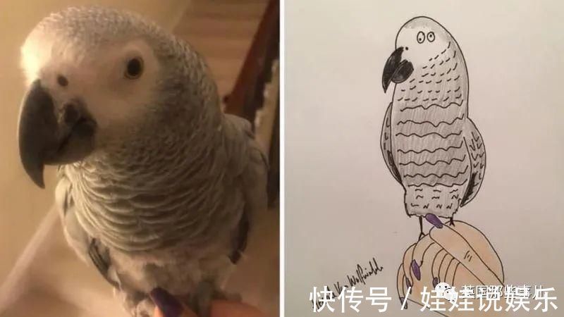 pet#随手涂鸦,自己觉得是“垃圾”的画作,没想到却在网上卖疯了