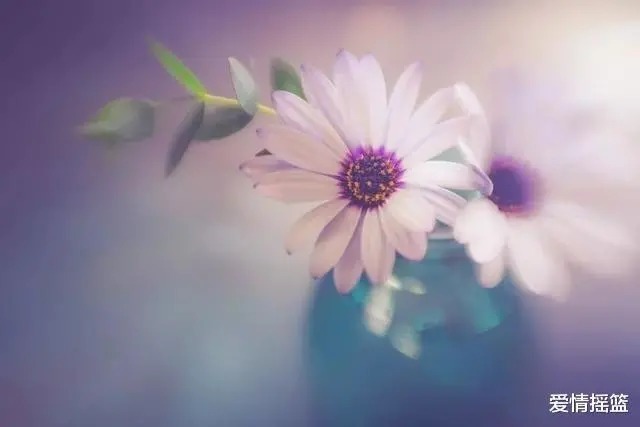 歧途!真正聪明的人,一辈子三不“碰”