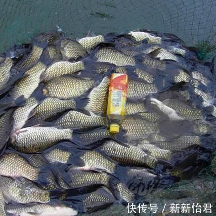捕鱼|建议大家钓鱼别再用蚯蚓了,学老渔民这么捕鱼,天天吃鱼乐开花