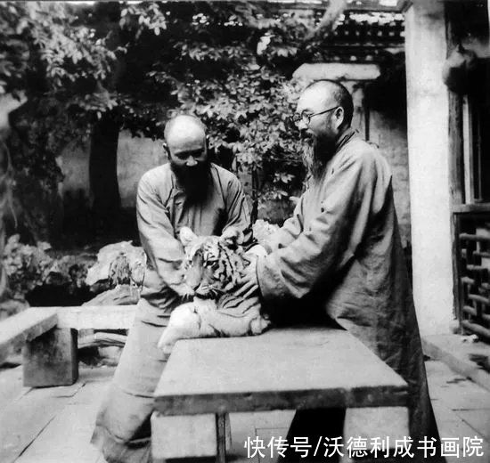 康熙年间|历代名家画虎欣赏，形神兼备