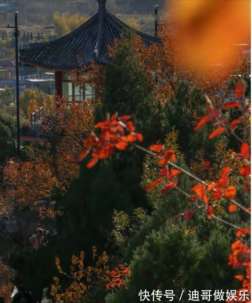 红螺寺|北京银杏美学巅峰：红螺寺千年雌雄银杏树！赏秋与祈福两不误！