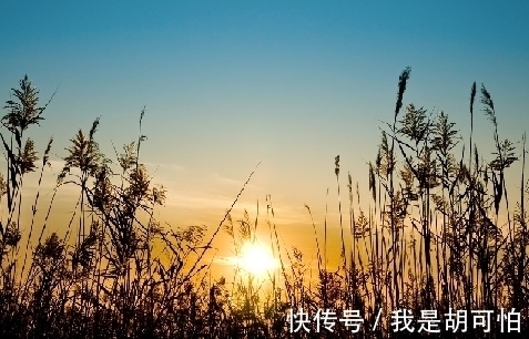 夫君!清代才女的一首好诗,充满了妙喻奇想,也把狗粮撒了一地