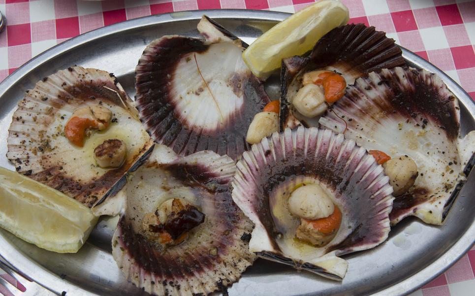 做扇贝别再用水煮了,海边人教你正确做法,肉质鲜嫩不回缩