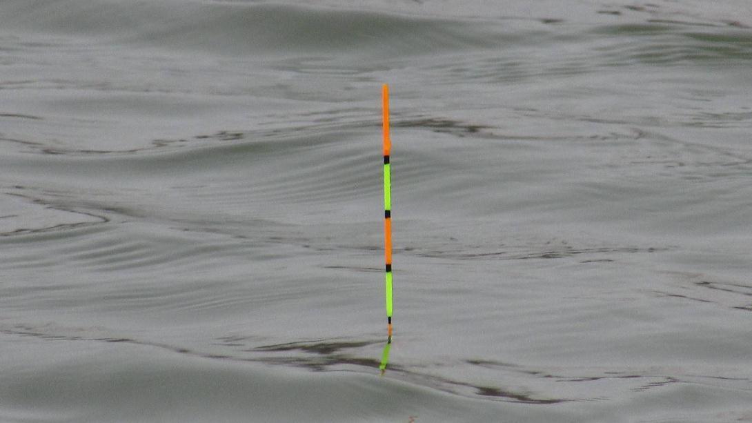 钓友|钓鱼时能应对“走水”的好方法,简单且人人都会做,但会的人太少